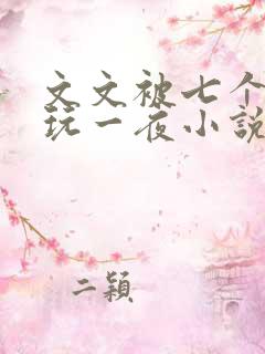 文文被七个男人玩一夜小说
