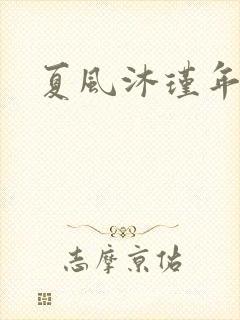 夏风沐瑾年