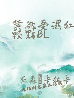 禁欲受湿红喘息轻点BL