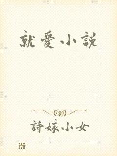 就爱小说