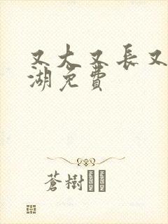 又大又长又租高湖免费