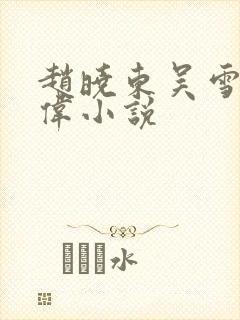 赵晓东吴雪晴郑伟小说