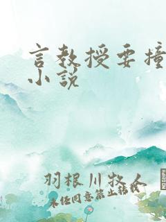 言教授要撞坏了小说