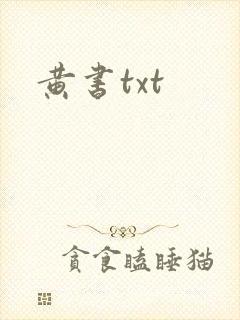 黄书txt