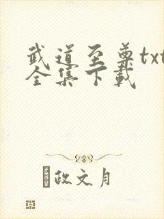 武道至尊txt全集下载