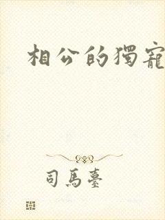 相公的独宠妻子