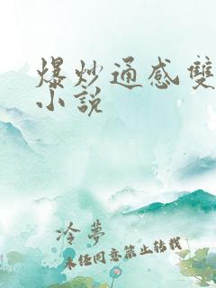 爆炒通感双胞胎小说