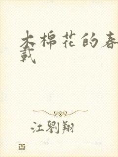 木棉花的春天下载