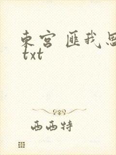 东宫 匪我思存 txt