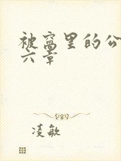 被窝里的公息十六章