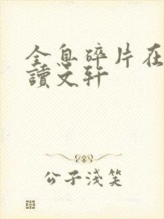 全息碎片在线阅读文轩