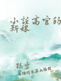 小说高官的暗夜新娘