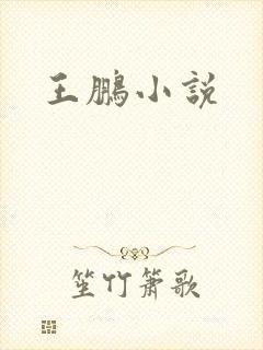 王鹏小说