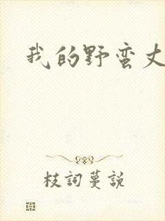 我的野蛮丈夫