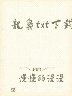 龙枭txt下载
