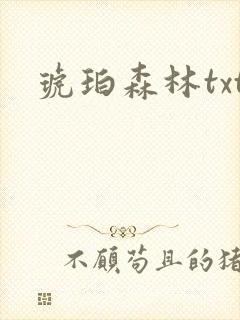 琥珀森林txt