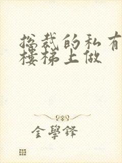 总裁的私有宝贝楼梯上做