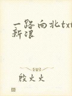 一路向北txt新浪