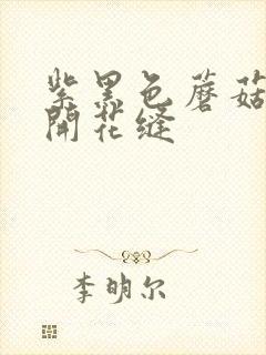 紫黑色蘑菇头顶开花缝