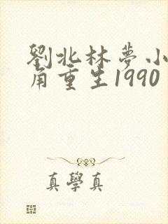 刘北林梦小说主角重生1990