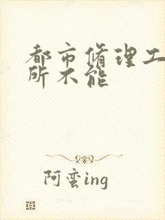 都市修理工之无所不能