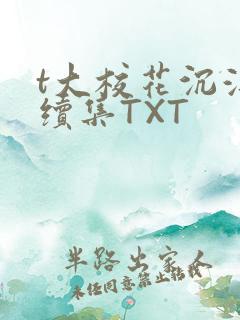 t大校花沉浮录续集TXT