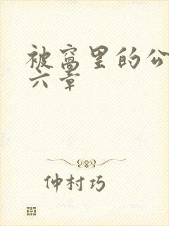 被窝里的公息第六章