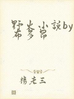 野火小说by夏布多昂