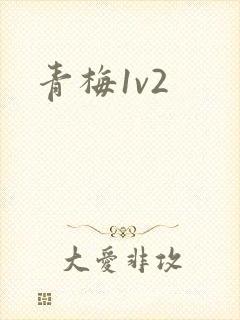 青梅1v2