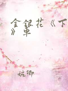 金银花《下厨房》车