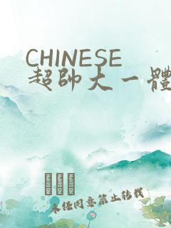 CHINESE超帅大一体育系精牛