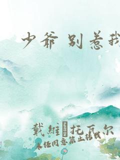 少爷 别惹我