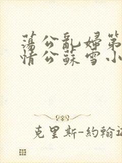 荡公乱妇第1章情公苏雪小说