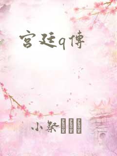 宫廷q传