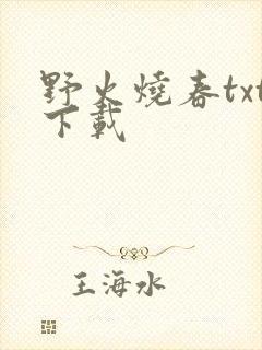 野火烧春txt下载
