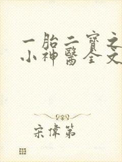 一胎二宝之弃妃小神医全文免费阅读