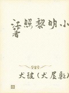 江照黎明小说原著