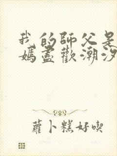 我的师父是王语嫣尽欢潮汐