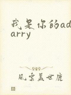 我是你的adcarry