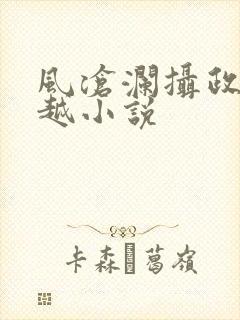 风沧澜摄政王穿越小说