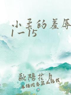 小柔的羞辱日记1一15