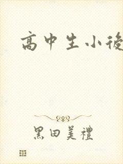 高中生小后妈