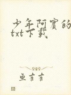 少年阿宾的故事txt下载