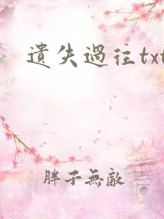遗失过往txt