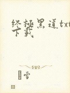 终极黑道txt下载