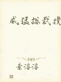 威猛总裁扑娇妻