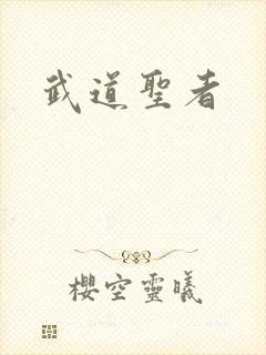 武道圣者