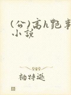 (公)高h艳事小说