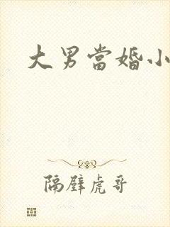 大男当婚小说