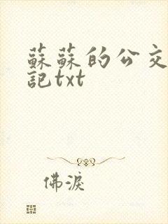 苏苏的公交车日记txt